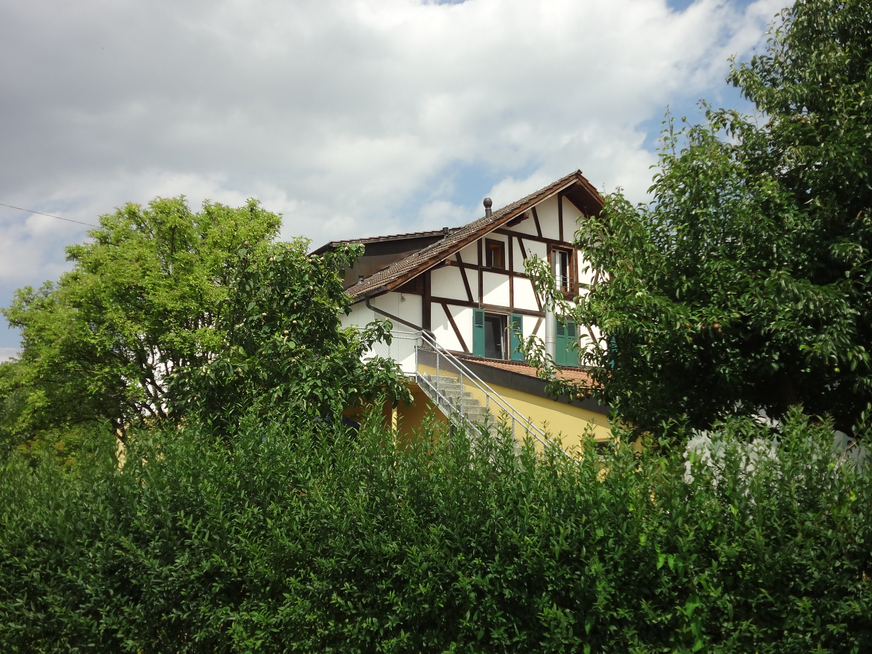 Image - dans_les_arbres.JPG
